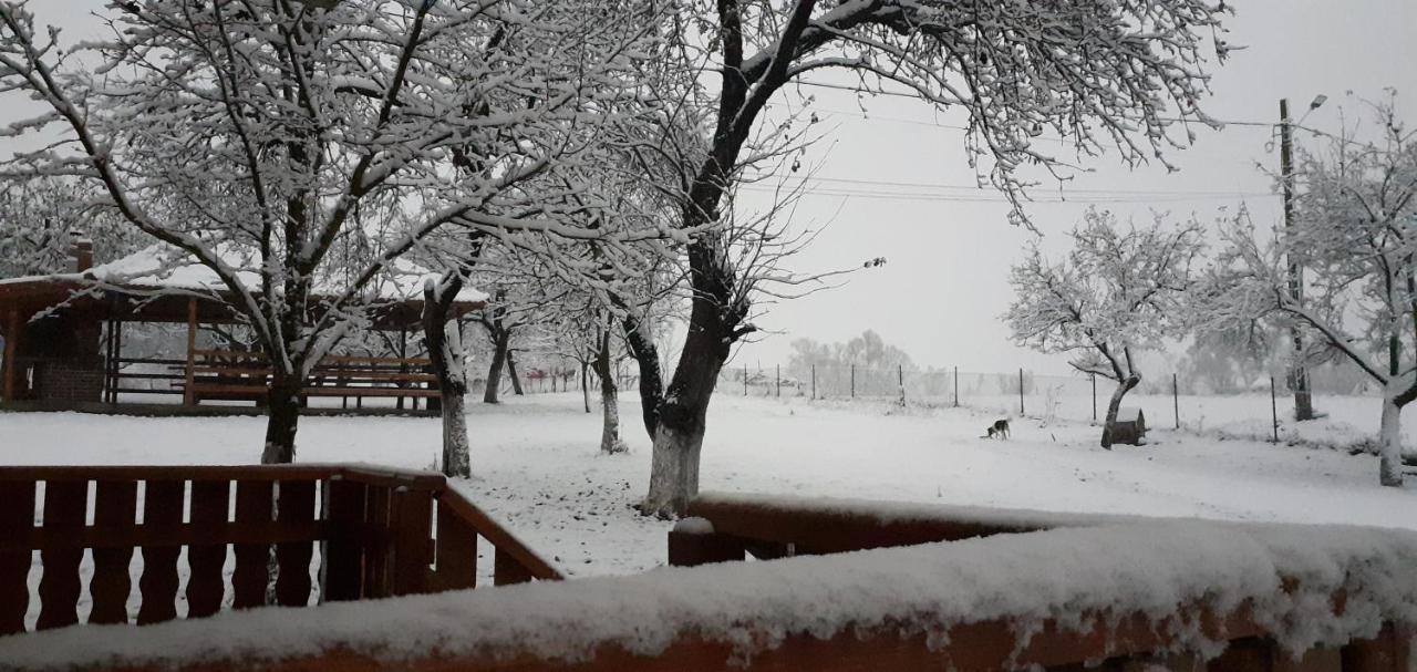 Pensiunea Agroturistica Ica Valea Drăganului Esterno foto
