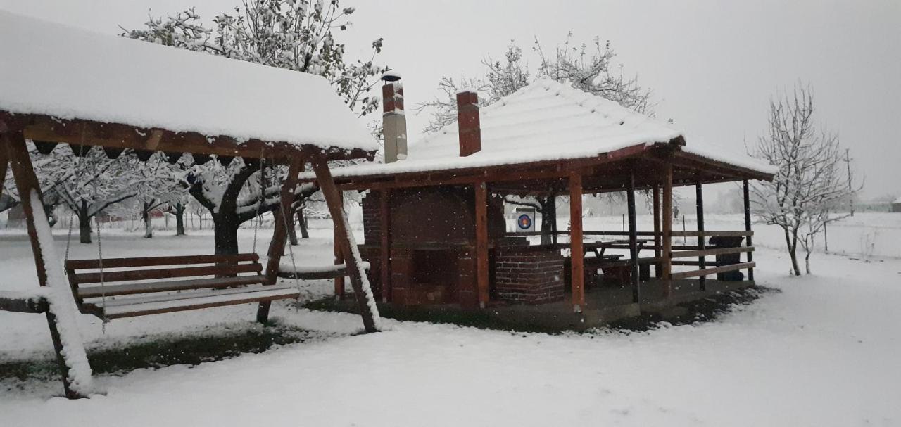 Pensiunea Agroturistica Ica Valea Drăganului Esterno foto