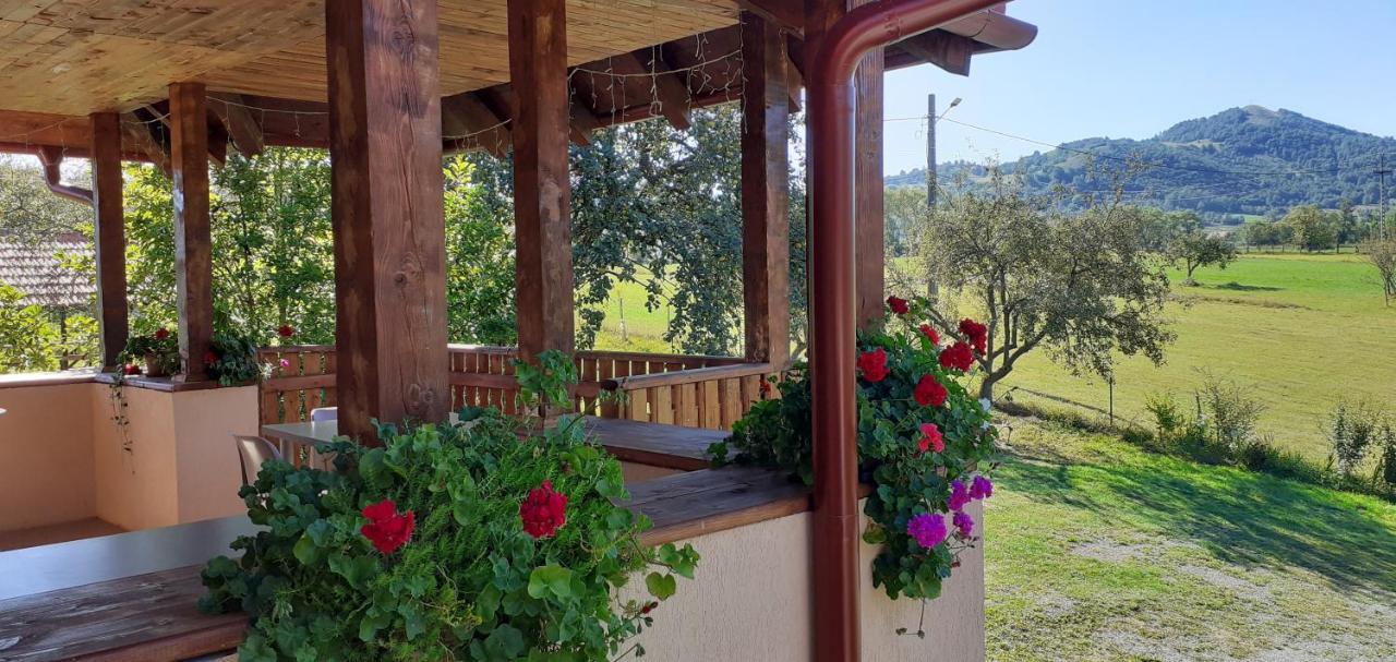 Pensiunea Agroturistica Ica Valea Drăganului Esterno foto