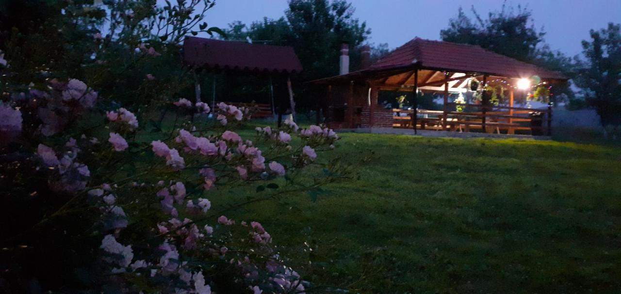 Pensiunea Agroturistica Ica Valea Drăganului Esterno foto