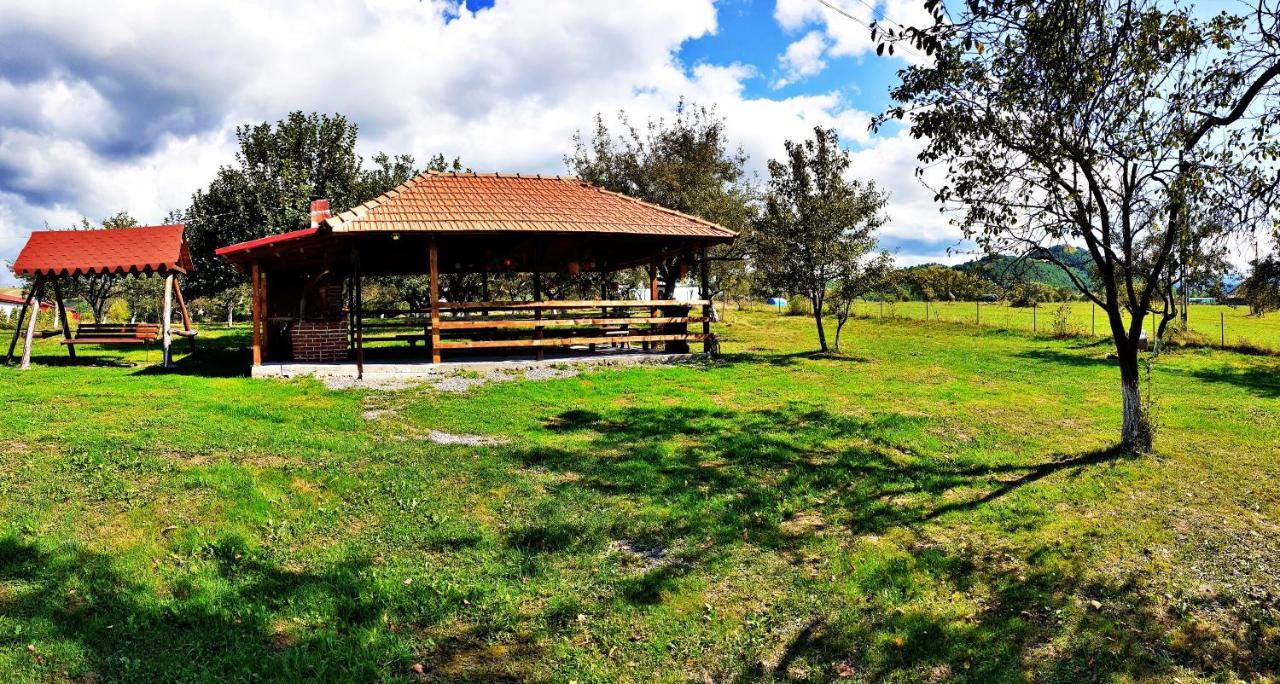 Pensiunea Agroturistica Ica Valea Drăganului Esterno foto