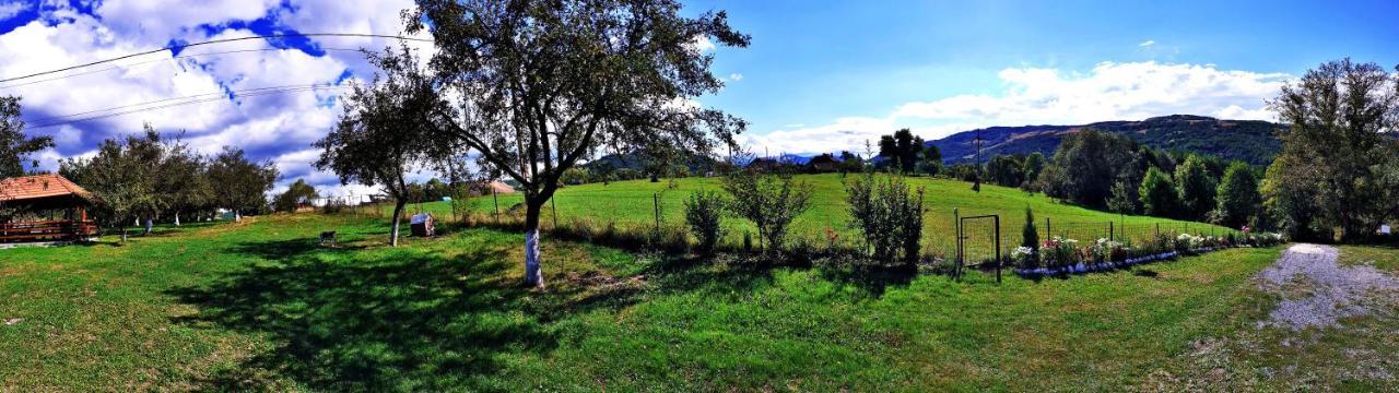 Pensiunea Agroturistica Ica Valea Drăganului Esterno foto