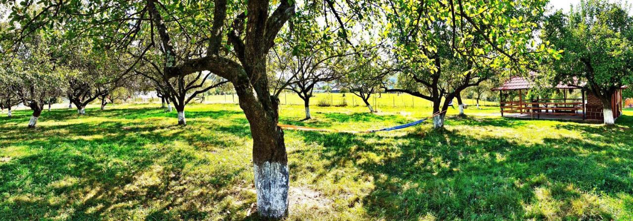 Pensiunea Agroturistica Ica Valea Drăganului Esterno foto