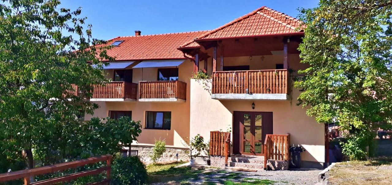 Pensiunea Agroturistica Ica Valea Drăganului Esterno foto