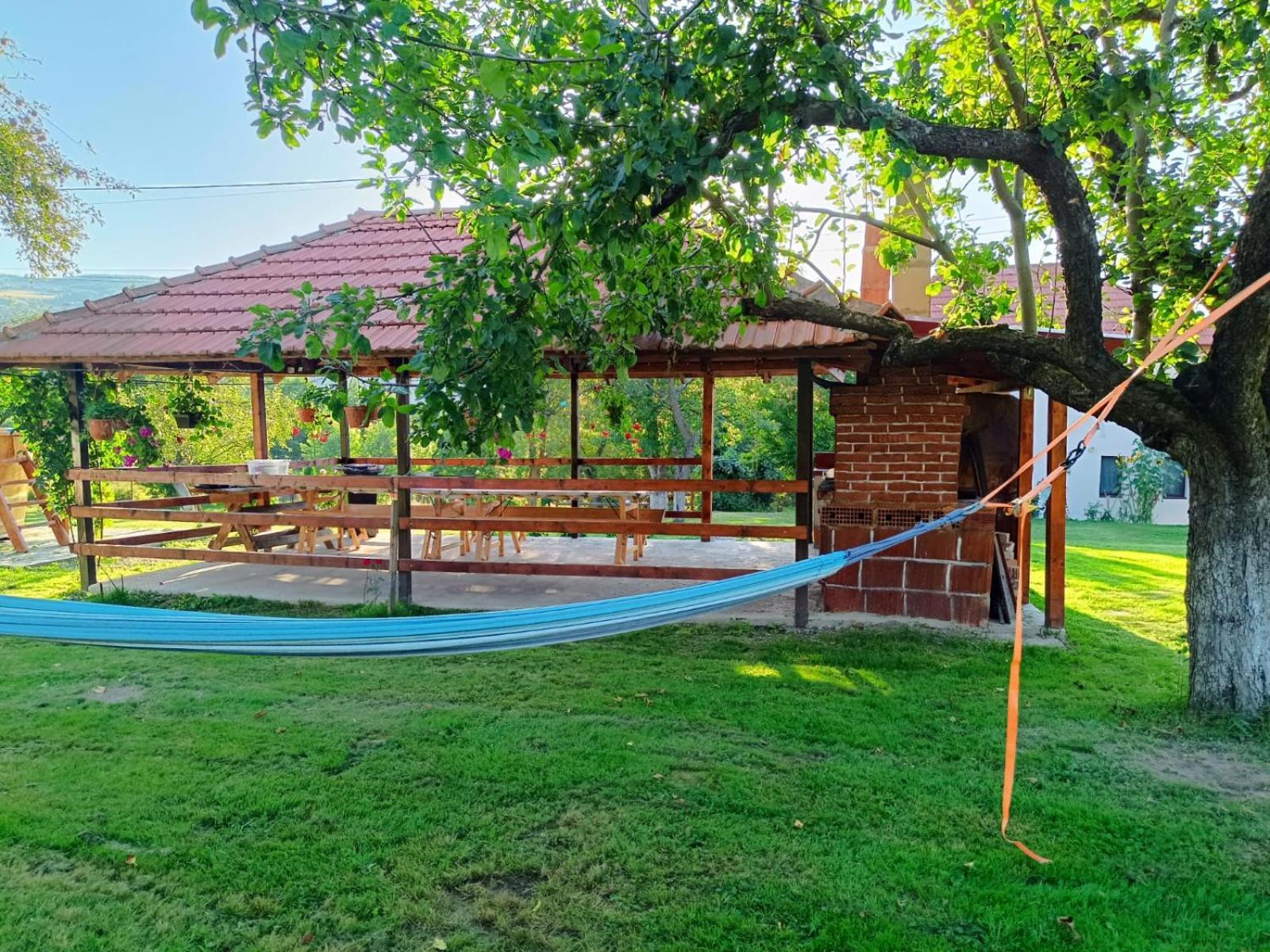 Pensiunea Agroturistica Ica Valea Drăganului Esterno foto
