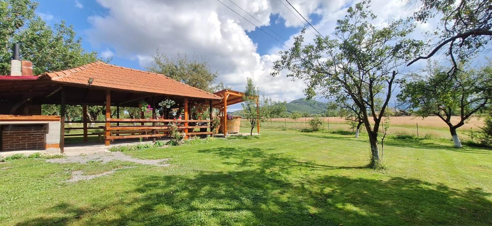 Pensiunea Agroturistica Ica Valea Drăganului Esterno foto